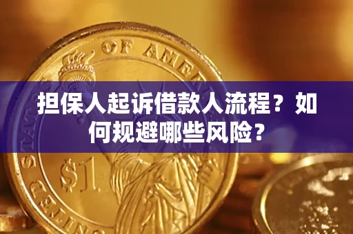北京担保人起诉借款人流程？如何规避哪些风险？